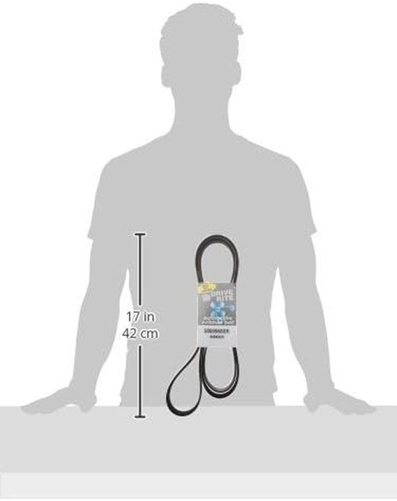 Dayco 5060960DR Serpentine Belt