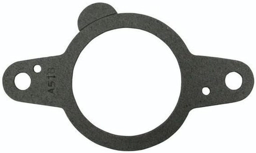 25194 Thermostat Gasket