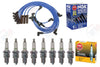 NGK PLATINUM Spark Plugs & Wires for 1989-1992 Camaro 5.7L W/ CAST IRON Head
