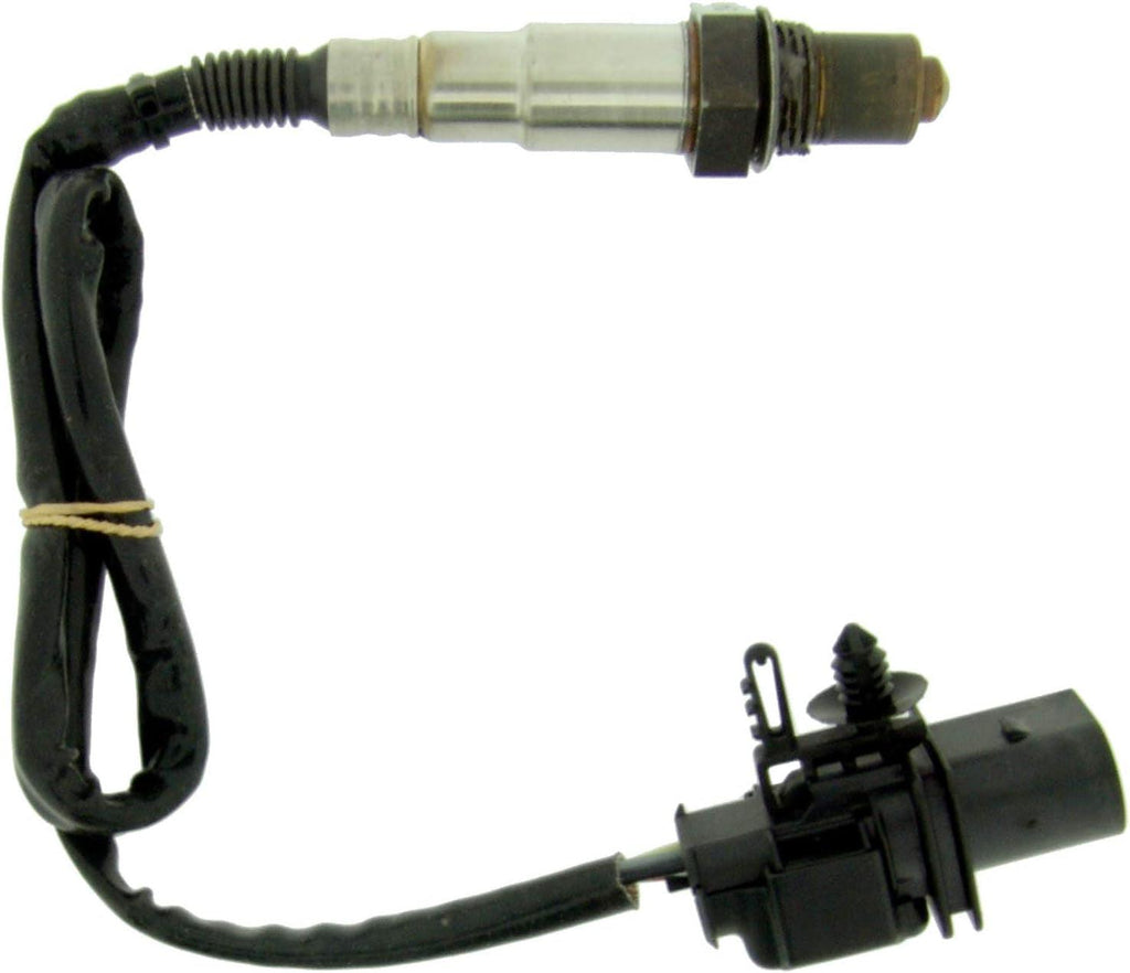 24348 Oxygen Sensor