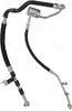 56052 Discharge and Suction Line Hose Assembly