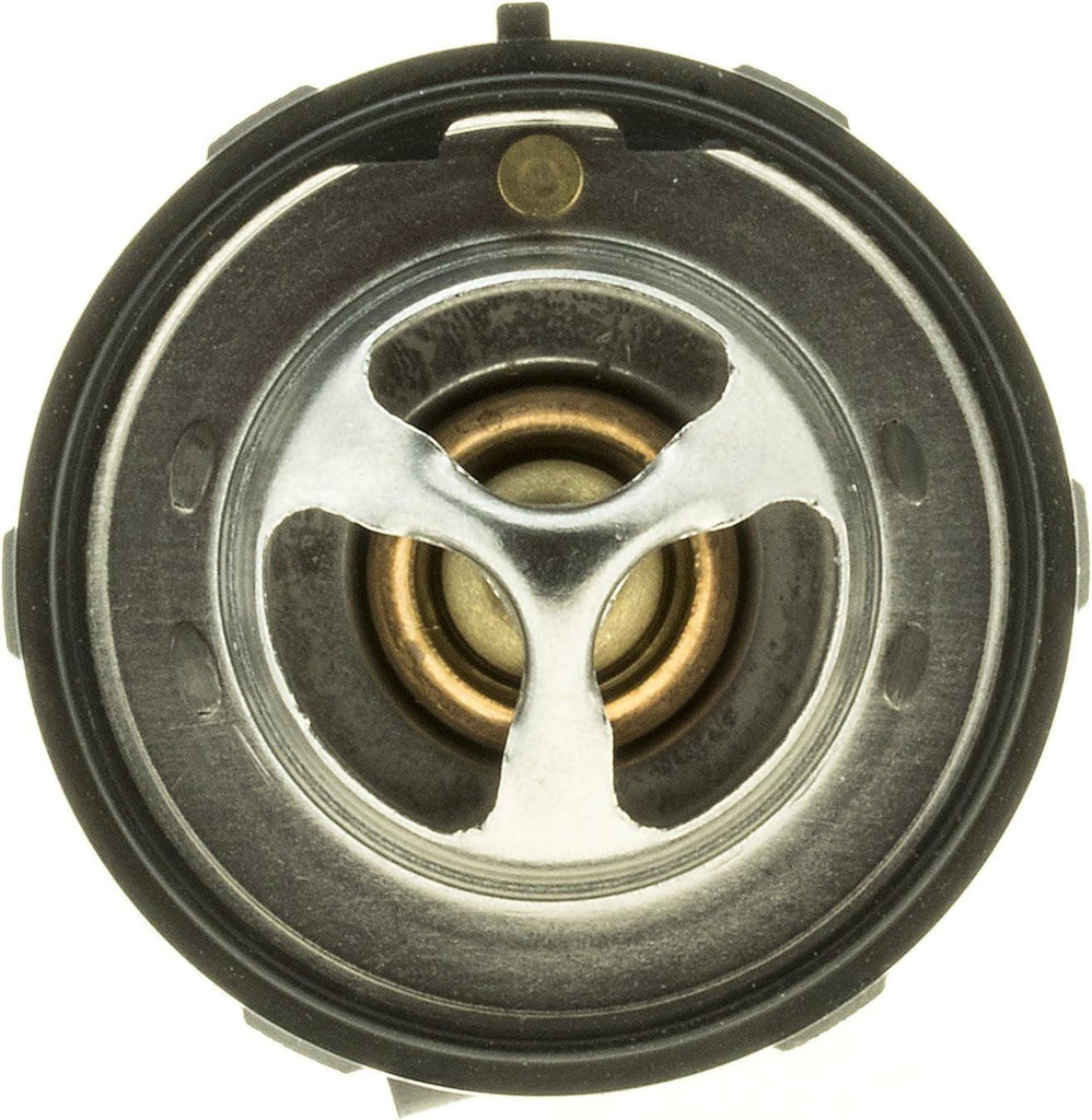 524-160  524-160 Thermostat with Seal