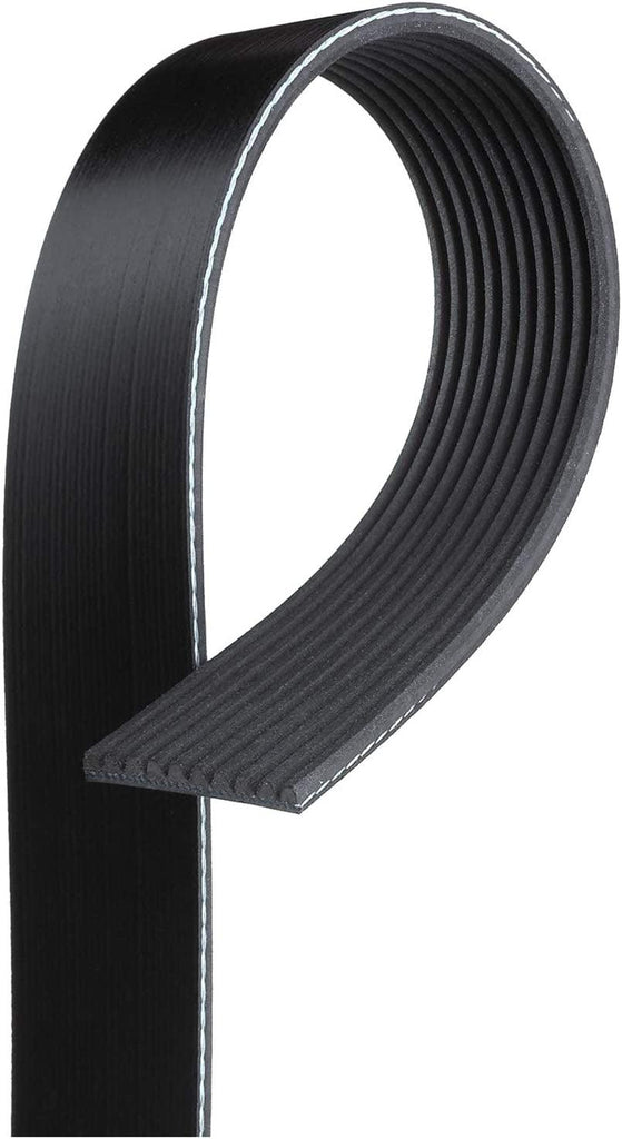 Gold 10K465 Standard V-Ribbed Serpentine Belt