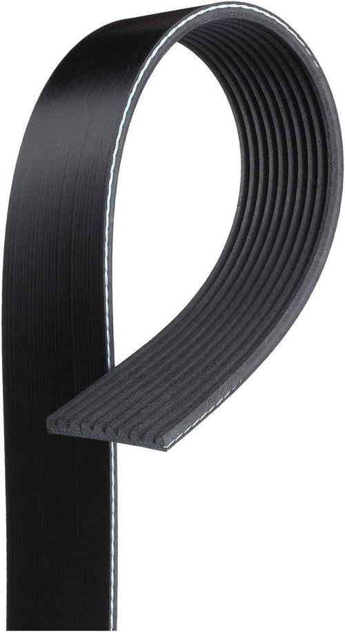 Gold 10K381 Standard V-Ribbed Serpentine Belt