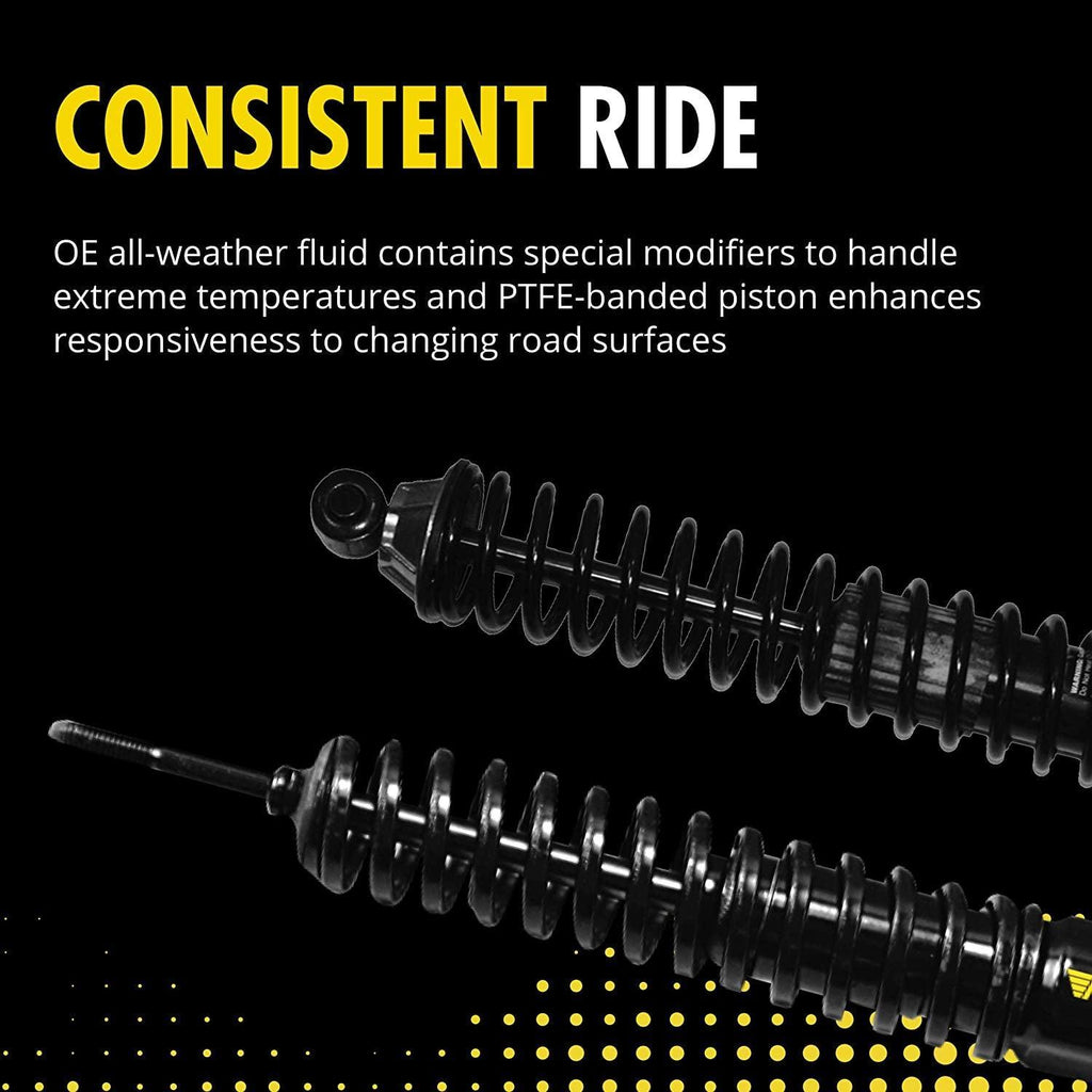 58598 Shock Absorber and Coil Spring Assembly, Pack of 2