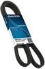 5060382 V-Ribbed Belt