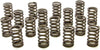 PAC-1210X 1.245 Single Valve Spring