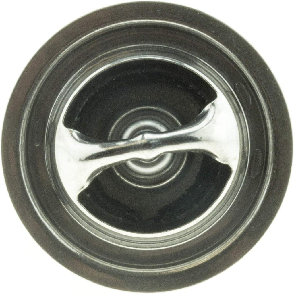 -45947 Superstat Premium Thermostat, Stainless Steel