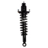 Suspension Strut and Coil Spring for Vibe, Corolla, Matrix 710984