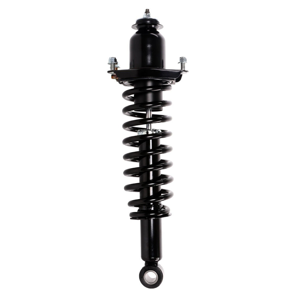 Suspension Strut and Coil Spring for Vibe, Corolla, Matrix 710984