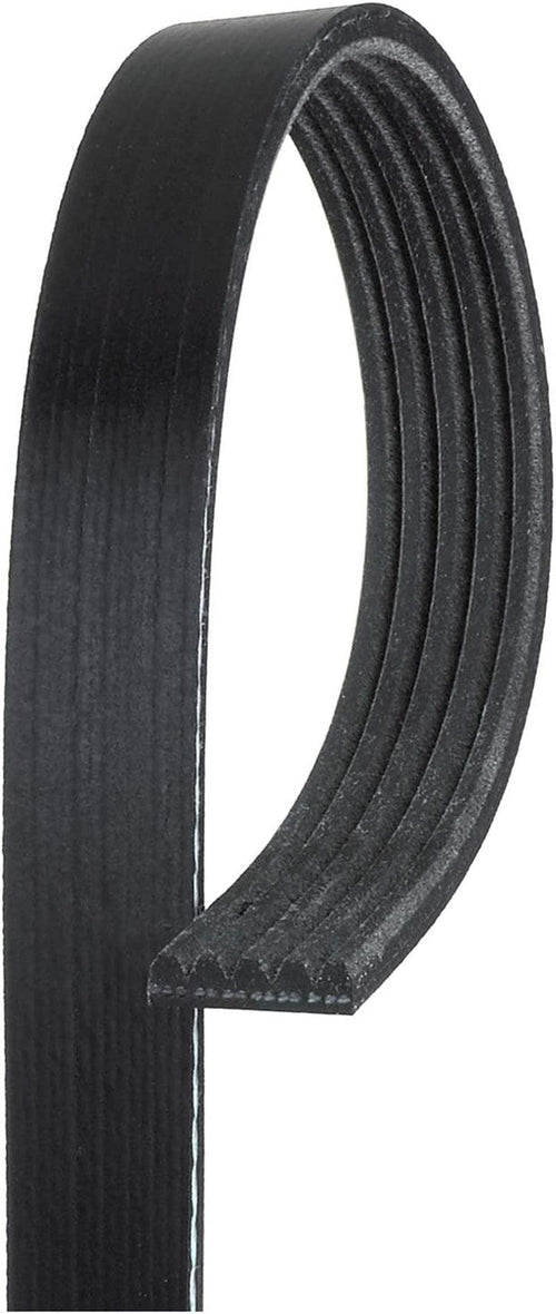 Gold 5K855 Standard V-Ribbed Serpentine Belt