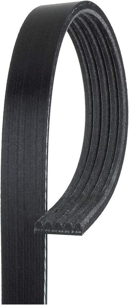 Gold 5K368 Standard V-Ribbed Serpentine Belt