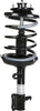 Shocks & Struts Roadmatic 182230 Strut and Coil Spring Assembly