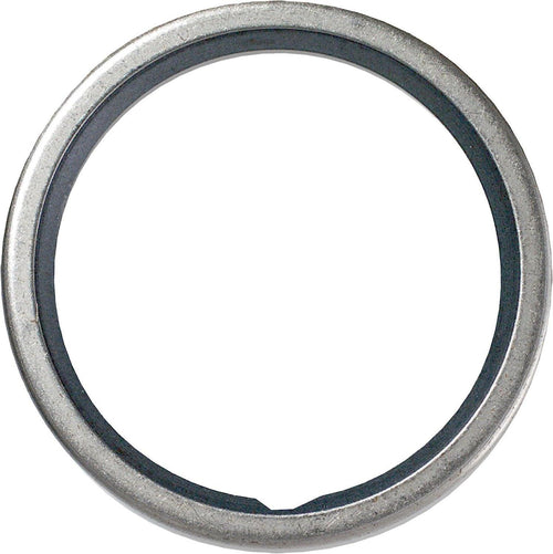 25020 Thermostat Seal