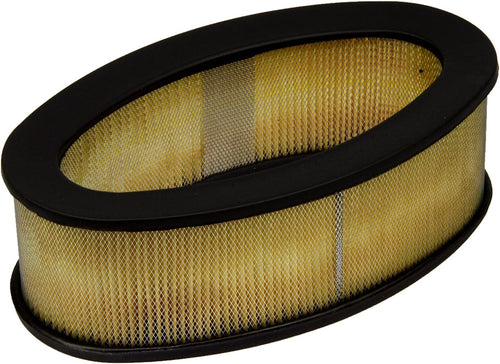 Professional A2279C Air Filter