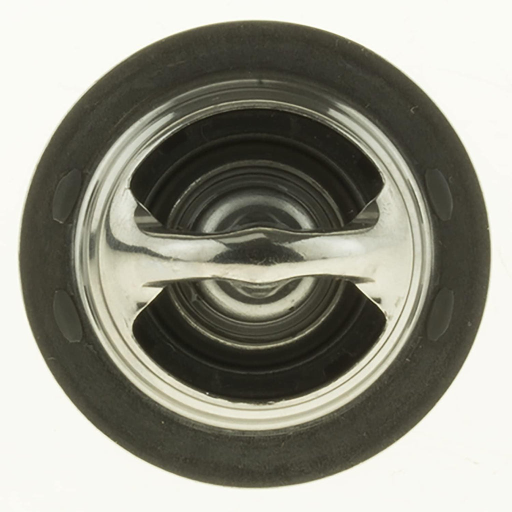 -45028 Superstat Premium Thermostat, Stainless Steel