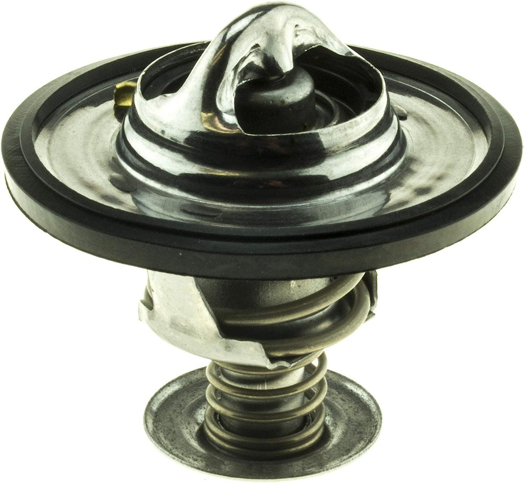 33019S Thermostat