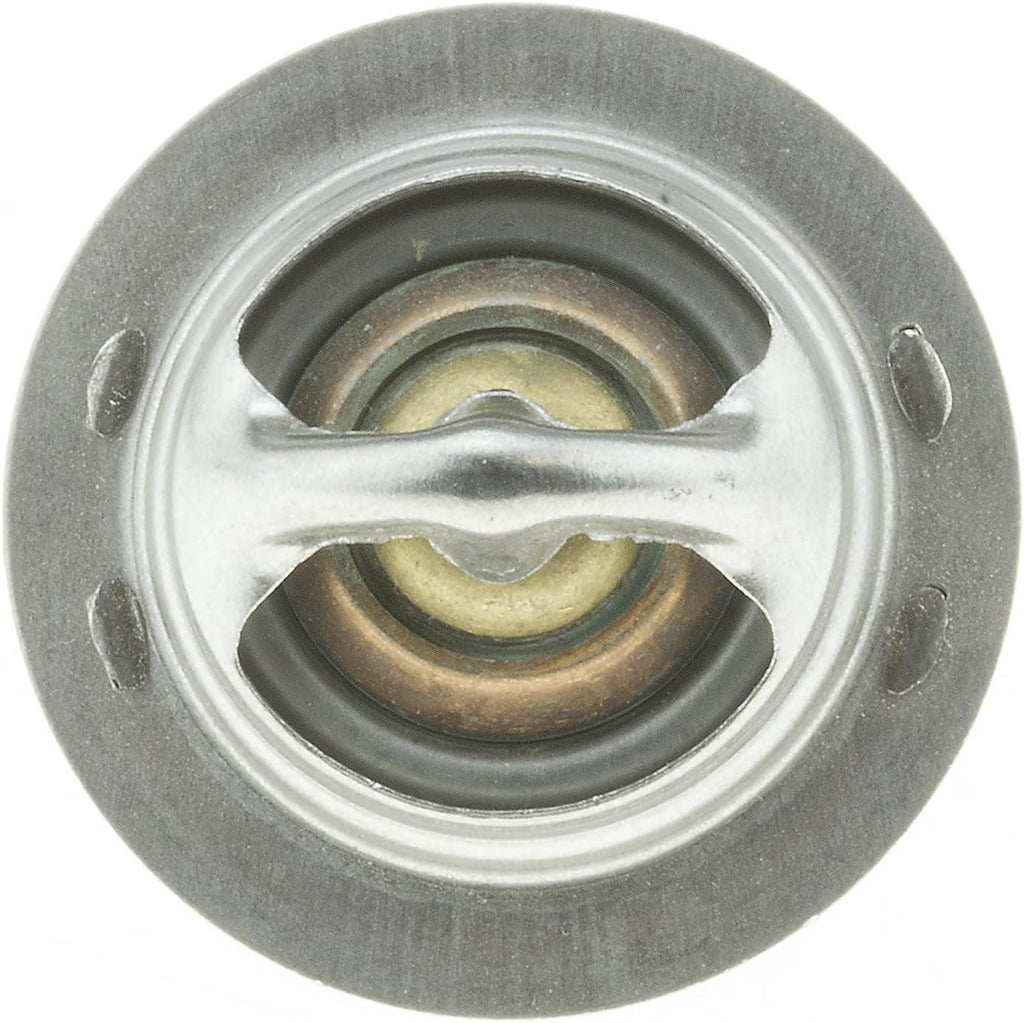7203-195 Fail-Safe Thermostat