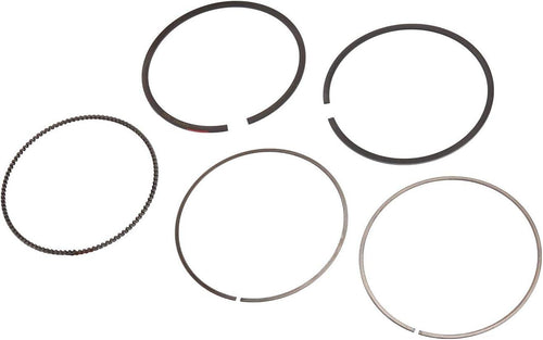 89018107 Engine Piston Ring Kit