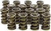 (9945) 1.625" O.D. Valve Spring