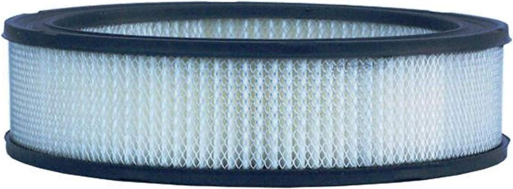 Professional A629CF Durapack Air Filter (Pack of 12) (Pack of 12)