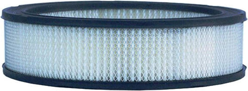 Professional A629CF Durapack Air Filter (Pack of 12) (Pack of 12)