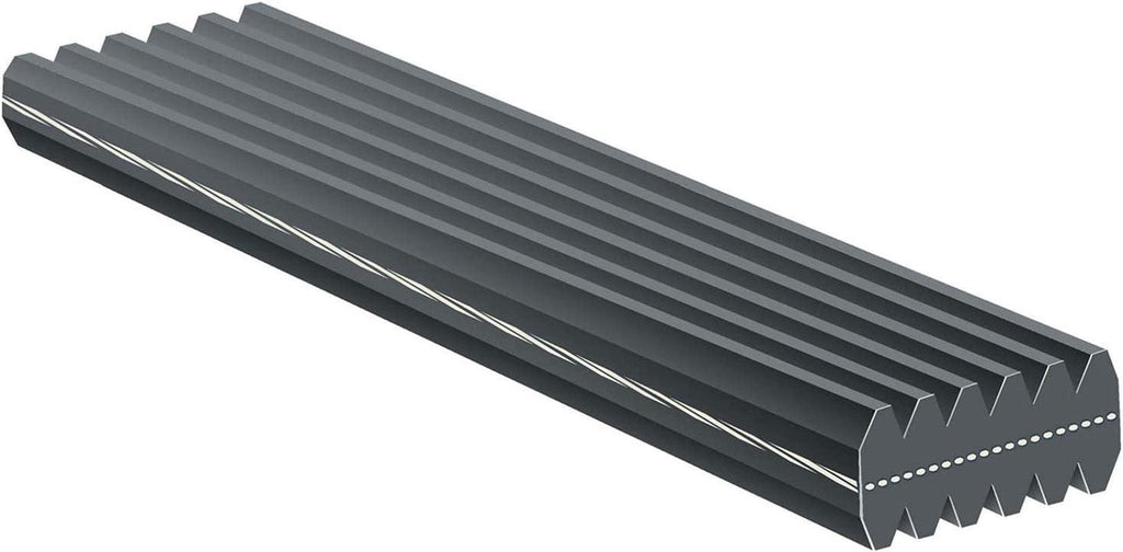 Gold 6DK519 Dual Sided V-Ribbed Serpentine Belt