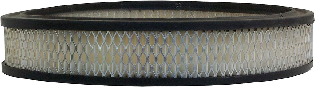 GM Original Equipment A824C Air Filter