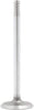 IV143 Intake Valve for 1998-2011 / Chrysler, Dodge, Plymouth, Volkswagen/Avenger, Challenger, Charger, Grand Caravan, Magnum, Sebring / 3.2L, 3.5L, 4.0L / SOHC/CGVA, EGW/VIN 4, VIN 6, VIN G