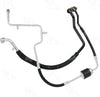 56769 Hose Assembly