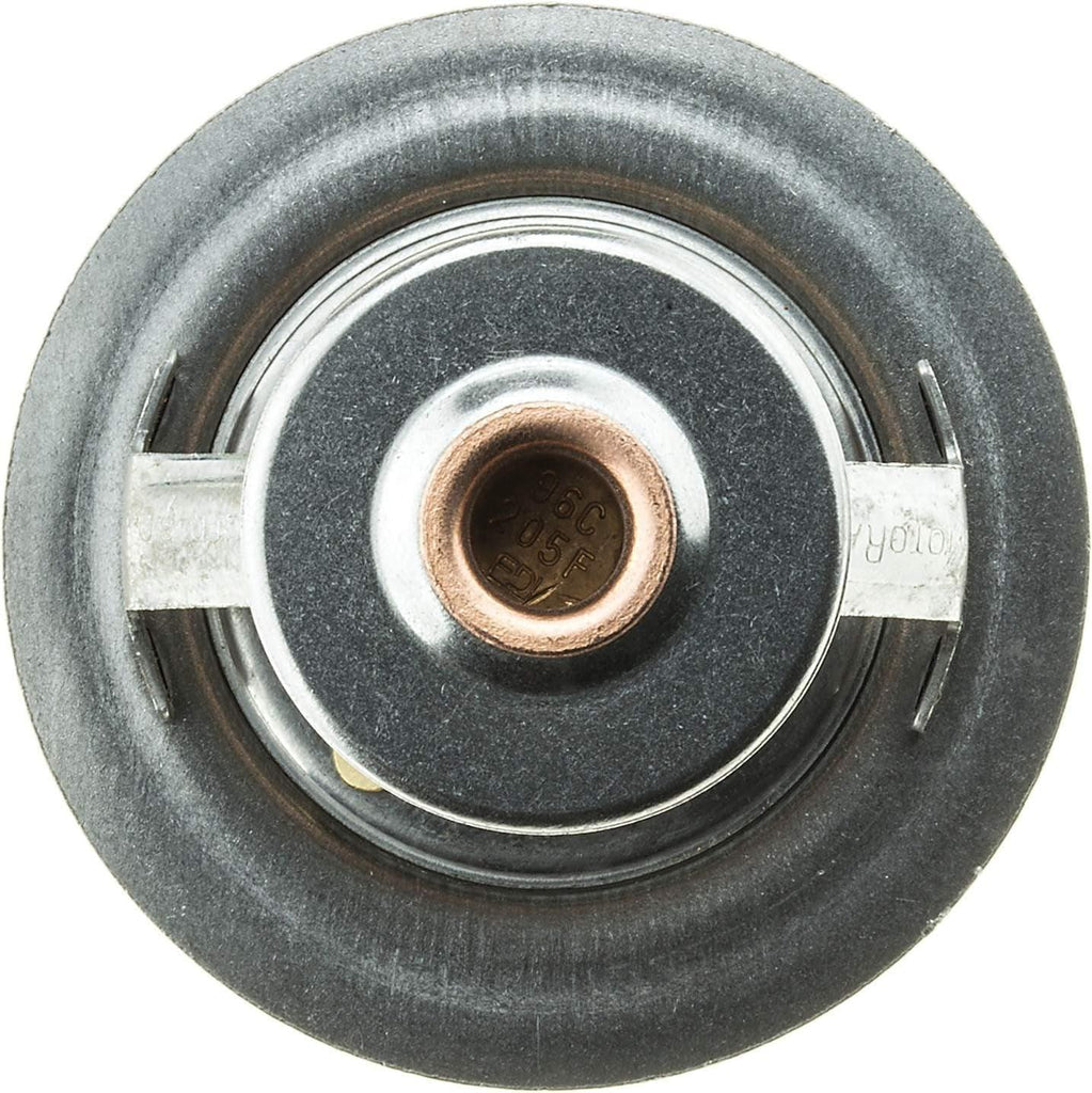 -14252 OE Type Thermostat, Stainless Steel