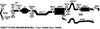 64645 Exhaust Tail Pipe