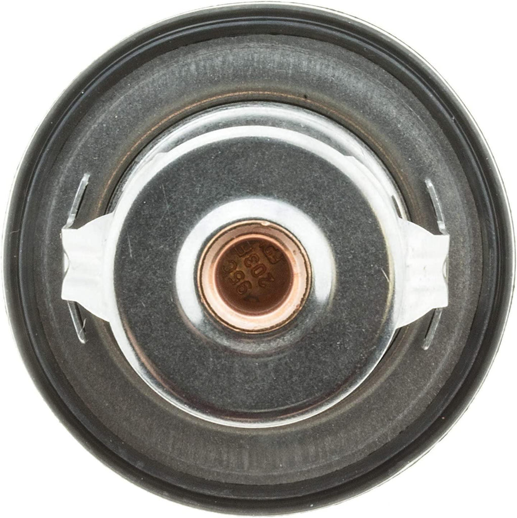 48792 OE Type Thermostat