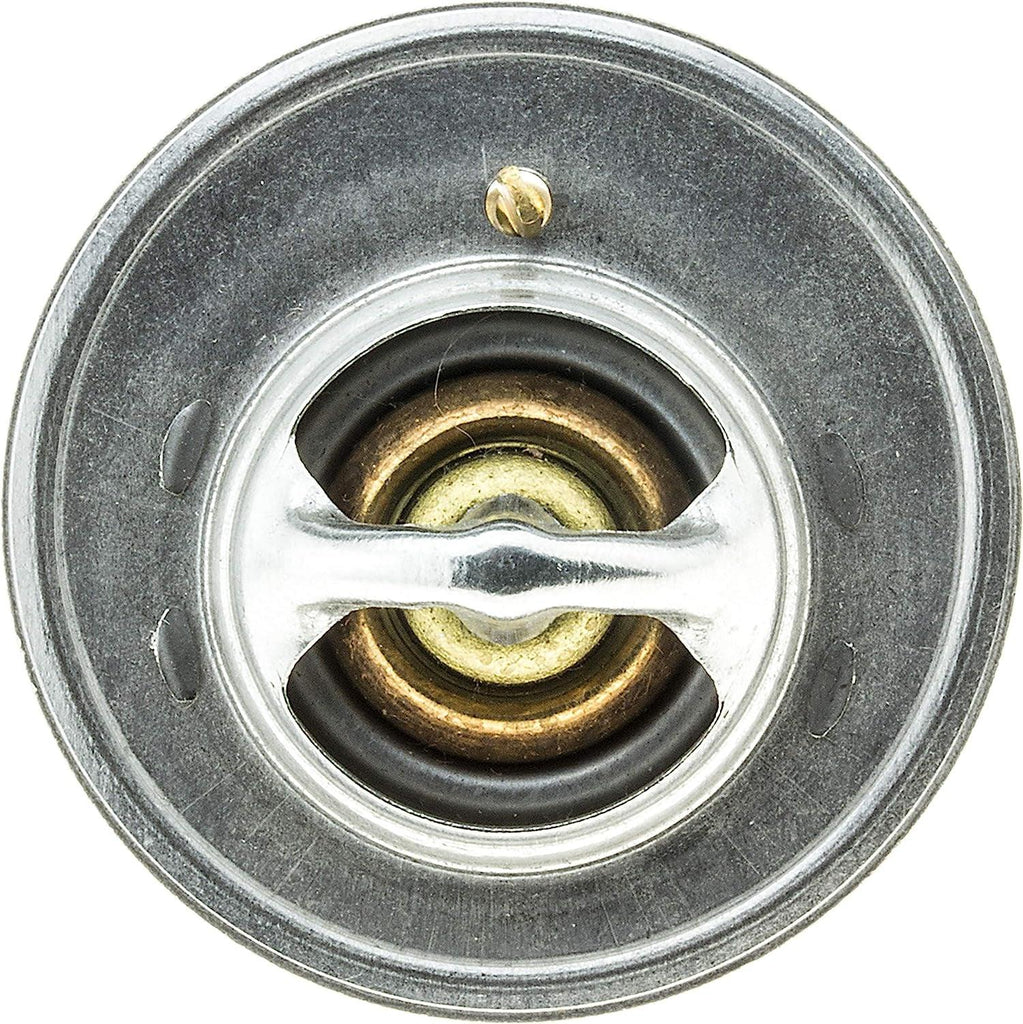 33479 Thermostat