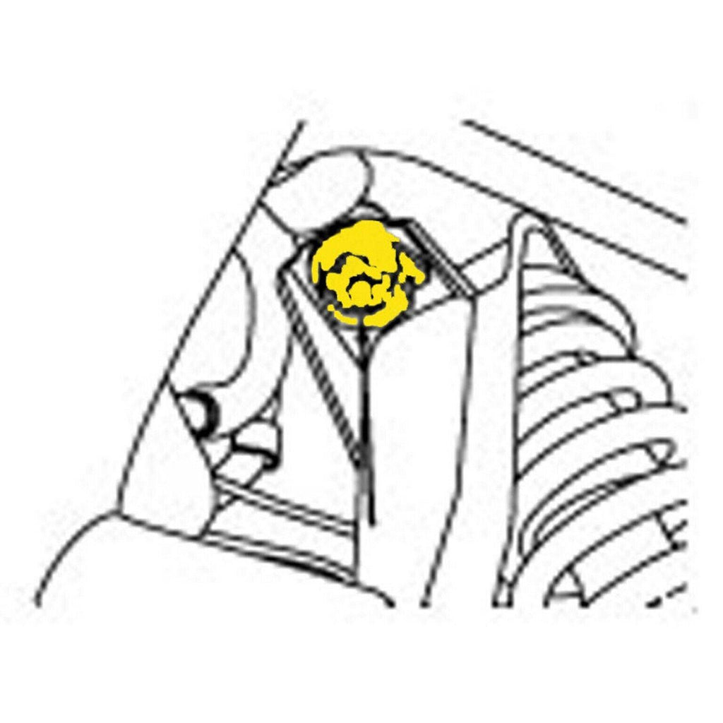 Moog Alignment Caster / Camber Kit for Explorer, Aviator, Mountaineer (K80111)