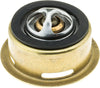 245-160 Thermostat with Seal