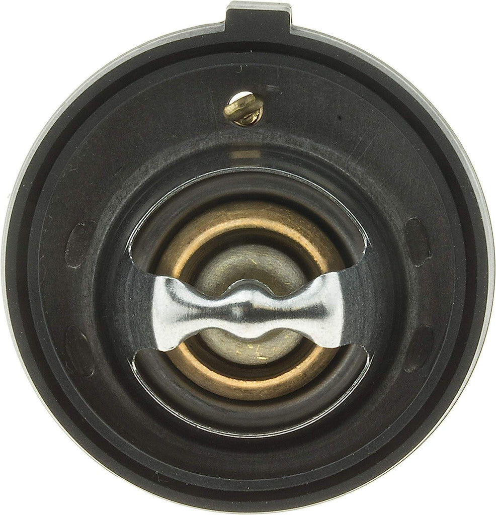 33849 Thermostat