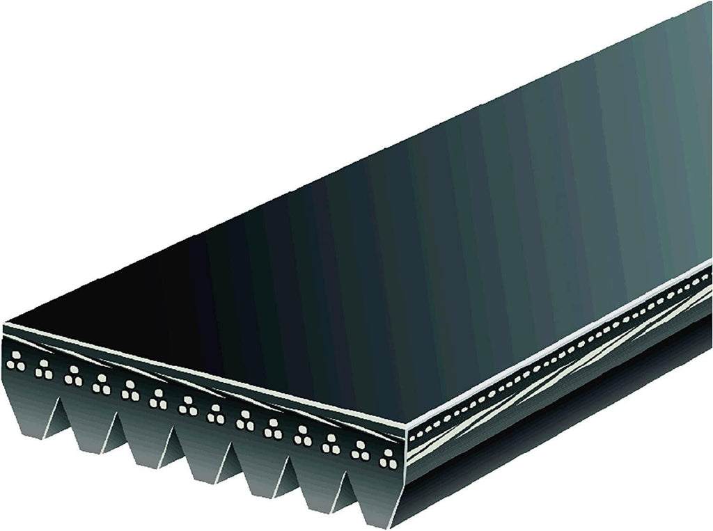 Gold 7K901 Standard V-Ribbed Serpentine Belt