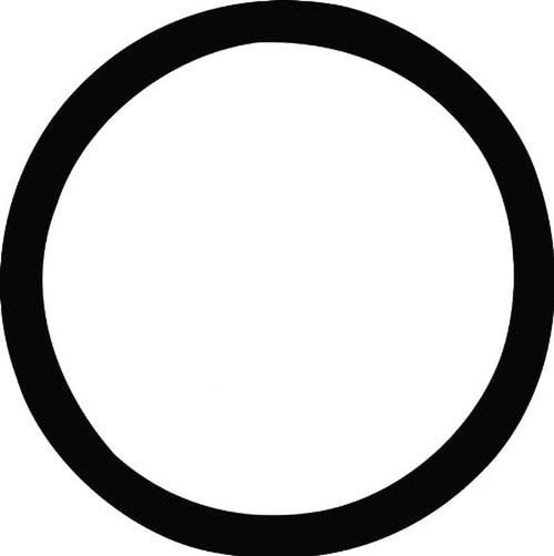 25266 Thermostat Seal