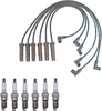 Denso Wire Set 7Mm & 6 Platinum TT Spark Plugs 0.040 Kit for 3.1 3.4 V6