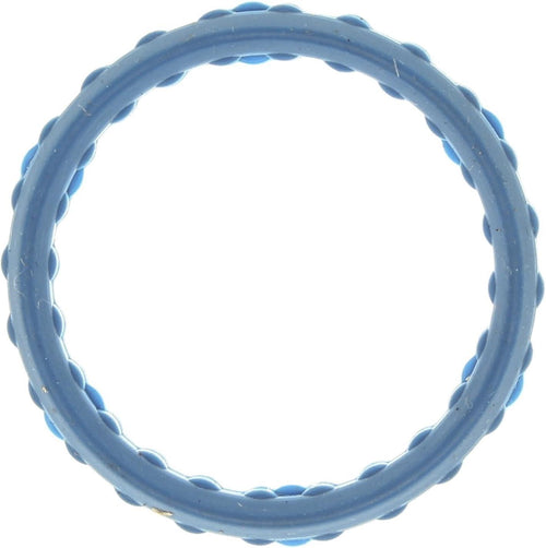 G32807 EGR Tube Gasket
