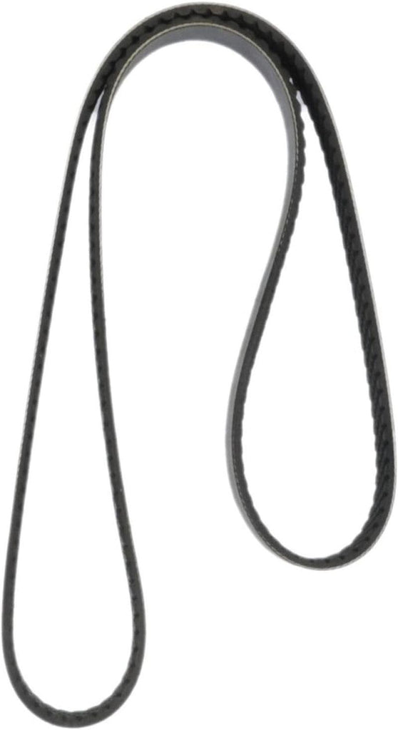 Continental Elite 4081223 Poly-V Belt
