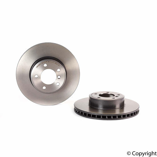 Brembo Front Disc Brake Rotor for BMW (09.9172.11)