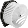 700243 Replacement Blower Assembly