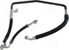 56418 Hose Assembly