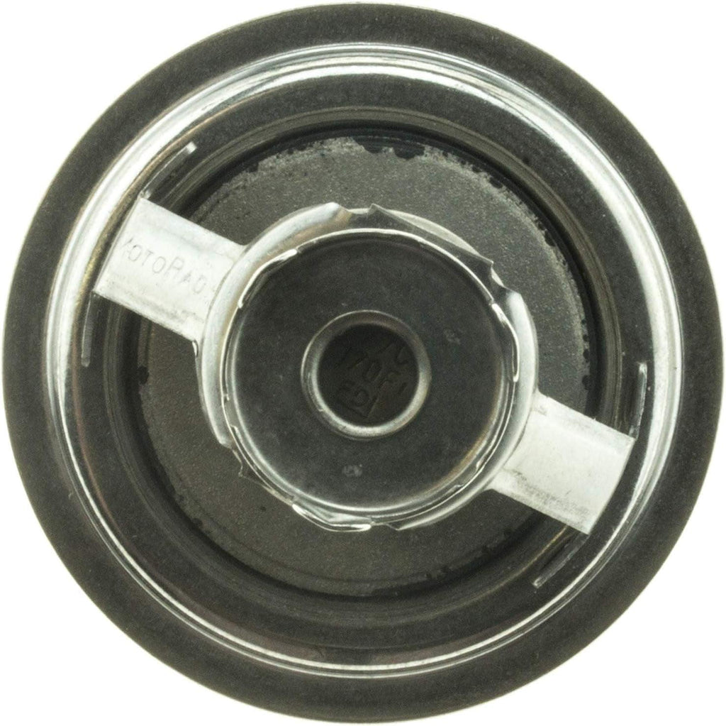 -45947 Superstat Premium Thermostat, Stainless Steel