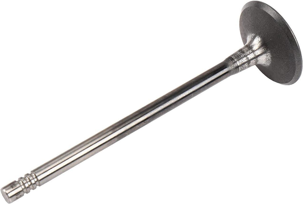55568831 Engine Intake Valve
