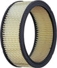 GM Original Equipment A178CW Air Filter