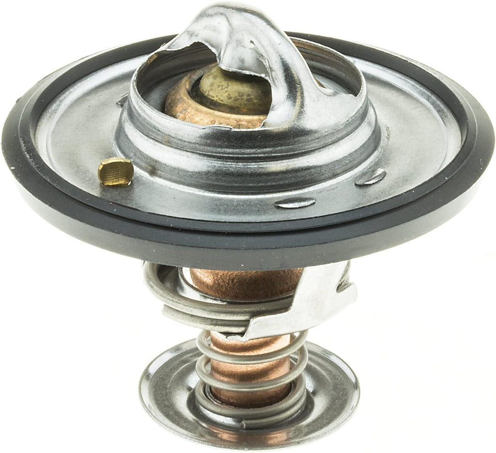 265-160 Thermostat with Seal, Silver