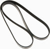 Gold 6K612 Standard V-Ribbed Serpentine Belt